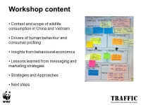 A STRATEGY FOR REDUCING DEMAND IN ILLICIT PRODUCTS FROM ENDANGERED SPECIES Background: Why reduce demand? Expert Workshop... 