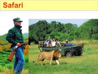 Ks5u 精品课件 Unit8 Lesson 1 Adventure Holidays. ks5u 精品课件 By the end of the lesson, you will be able to: 1.Identify the... 