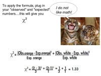 Chi-Square Test. Chi-Square (χ 2 ) Test Used to determine if there is a significant difference between the expected and observed... 