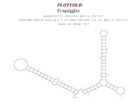 Nucleic Acid Secondarily Structure AND Primer Selection Bioinformatics ppt download
