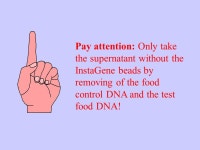 Practical training: Proof of a gentechnical variation of foods with PCR. -  ppt download