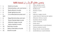 LOWER LIMBS 1- RADIOLOGY ( 2 – 23 ) 2- CROSS SECTION (24 – 33 & ) 3- CT scan (34 – 56) 4- MRI ( 57 – 121) 5- ANGIOGRAPHY... 