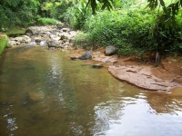 Fundamental Concepts Biocomplexity Integrated Models. -  ppt download