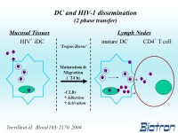 BIT225 Reduces the Intracellular HIV-1 Burden Within Monocyte Derived Dendritic Cells, Resulting in Reduced Transfer of Virus to... 