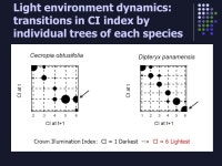A time to grow and a time to die: a new way to analyze the dynamics of size, light, age and death of tropical trees C. Jessica E.... 