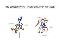 CONFORMATIONAL CHANGES AT THE NUCLEOTIDE-BINDING SITE OF KINESIN-FAMILY MOTORS ED PATE WSU. -  ppt download