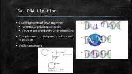 IGEM 101: Session 5 3/26/15Jarrod Shilts 3/29/15Ophir Ospovat. -  ppt download