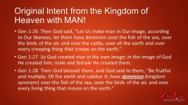 1 DREAM 1 PLAN 1 STRATEGY God has 1 DREAM only: He wants to fill the earth with his GLORY! (His VIEW, His JUDGMENT, His OPINION)... 