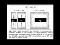 l25 l 1832 Robert Lewins 1855 Sidney Ringer 8 mg NaCl, 0,3 g KCl, 0,33 g CaCl 1l di H 2 O Alexis Hartmann 1941 Albumina. -  ppt... 