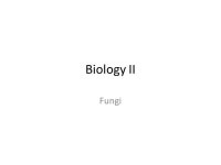 Biology II Fungi. Introduction of Fungi They are classified as eukaryotes (have a membrane bound nucleus) Fungi can be divided... 