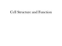Cell Structure and Function. Life is Cellular Since the 1600s, scientists have made many discoveries about the cells of living... 