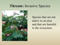 Welcome to the Pest and Disease Control Department. -  ppt download