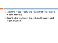 DIGESTIVE SYSTEM Chapter 23. Nutrition  Nutrient: substance in food used to promote growth, maintenance, and repair  Major... 