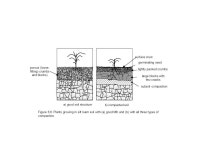 Figure 6.6. Plants growing in silt loam soil with (a) good tilth and (b) with all three types of compaction. a) good soil... 