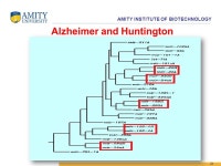 Regulatory Relationship of microRNAs in Alzheimer and Huntington Diseases: A Cladistics Approach Prachi Srivastava AMITY... 
