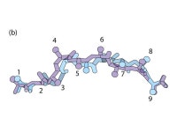 Lecture 19 November 16 th 2010 Quiz 2 scheduled for November 23 rd not November 18th. -  ppt download