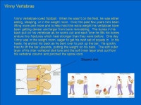 Bone Remodeling. The Femur Little Frankie Femur was born and raised to be a soccer star. From the moment he could walk he had a... 