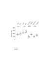 Tsn1tsn2 tsn1tsn2 WT TSN2 TSN1 28S A B Col C 3 kb RB LB LB RB tsn2 TSN1 TSN2 Figure 1  TSN  NMT 110kD 77kD D tsn1 tsn1tsn2 SN SN... 