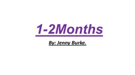 1-2Months By: Jenny Burke.. Social & Emotional Beings to smile at people Tries to look at parent. -  ppt download