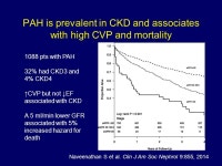 Role of Congestion and Hypoperfusion in the Cardiorenal Syndrome Ihab Wahba, MD, FACP, FASN Associate Professor of Clinical... 