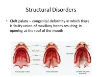 The Skeleton: Bones & Joints Chapter 7 Anatomy & Physiology I. -  ppt download
