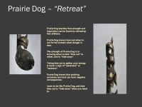 Eagle – “Spirit” Eagle teaches us to keep our eyes on “the big picture”. Sometimes, like the Eagle, we need to “rise... 