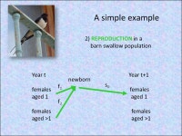 Matrix Population Models for Wildlife Conservation and Management 27 February - 5 March 2016 Jean-Dominique LEBRETON Jim NICHOLS... 