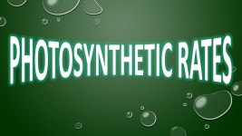 MEASURING PHOTOSYNTHESIS 6 H 2 O + LIGHT + 6 CO 2  C 6 H 12 O O 2 1.How can we measure the rate of photosynthesis? -  ppt download