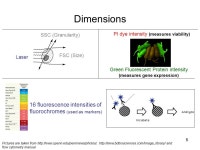1 Visualization Tool for Flow Cytometry Data Standards Project Evgeny Maksakov CS533C Department of Computer Science, UBC in... 