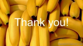 Mughal Empire Peter the Great, Peggy, Yuna, Ben, Ingrid, Alina, Kayli. -  ppt download