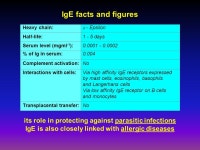 Humoral Immunity (immunity mediated by antibodies) & Immunoglobulin (antibody) Structure and Function Dr. Adel Almogren. -  ppt... 