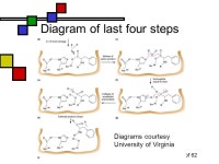 11/5/2009Biochem: Enzymes IV Enzymes IV Andy Howard Introductory Biochemistry 5 November ppt download