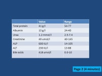 Certifying Examination Part I : Case Based Small Animal II: Soft Tissue DO NOT OPEN YOUR BOOKLET. -  ppt download