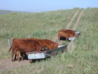 Know how. Know now. Jerry D. Volesky Walter H. Schacht University of Nebraska-Lincoln Ethanol CoProduct Conference Grazing... 