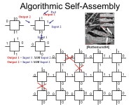 Sudheer Sahu Department of Computer Science, Duke University Advisor: Prof. John Reif Committee: Prof. John Board, Prof. Alex... 