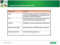 March 9, D Electrophoresis: 1 st Dimension. -  ppt download