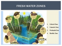 Sonny, Eric, Daniel, Shannon FRESH WATER LIFE ZONES. -  ppt download