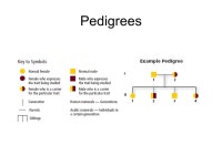 Ch 11 Complex Patterns of Inheritance 11.1 Basic Patterns of Human Inheritance Main Idea – The inheritance of a trait over... 
