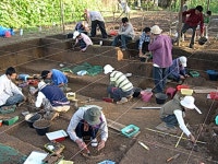 Origin of Humans. -  ppt video online download