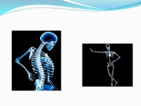 om/drinksmart/whatsinmonavie.htm&usg=__RX6EyQeJee9emjuZIUvFohF4m2Q=&h=249&w=250&sz=15&hl=en&start=0&zoom=1. -  ppt download