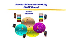 Video-Based Sensor Networks H. GHARAVI K. Ban NIST. -  ppt download