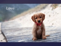 { The Promise “You are my friends if you do what I command.” -  ppt download
