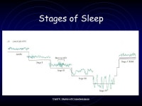Unit V. States of Consciousness V. States of Consciousness College Board - “Acorn Book” Course Description 2-4% -  ppt download