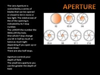 PHOTO REVIEW. YOUR CAMERA SLR- Single Lens Reflex Uses 35mm film You view, compose, focus and take a photo through a single lens... 