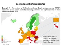 Antibiotics from Bacillus, new compounds to solve an old problem Prof. P. FICKERS Microbial Processes and Interactions... 