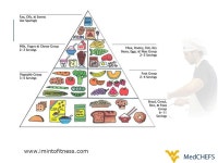 Rosie Cannarella Lorenzetti MD, MPH Adrienne Zavala MD Sarah Moerschel MD Madison Humerick MD PG1 Kalah Parker 4 th yr medical... 