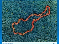 PowerLecture: Chapter 16 Studying and Manipulating Genomes. -  ppt download