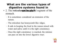 Animal, Plant & Soil Science Lesson C3-2 Animal Digestion. -  ppt download