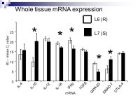 Examples of functional modeling. NCSU GO Workshop 29 October ppt download