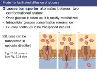 13 The Plasma Membrane Chapt. 13 Student learning outcomes: Diagram structure, explain function of lipid bilayer plasma membrane... 
